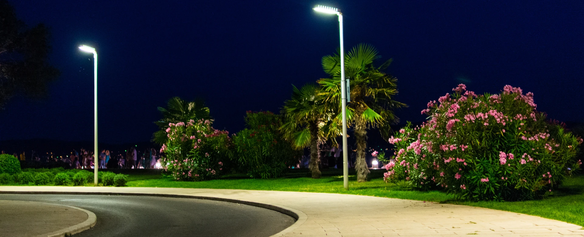 Outdoor Lights _Category